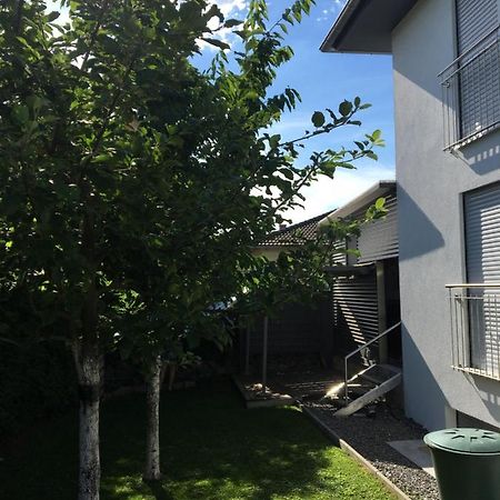 Peter'S Ferienwohnung Im Souterrain Neuried  Dış mekan fotoğraf