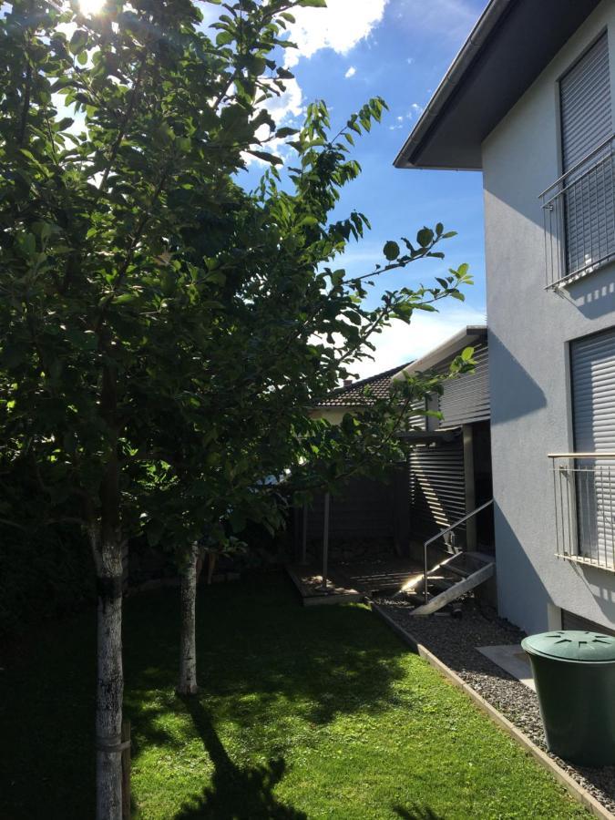 Peter'S Ferienwohnung Im Souterrain Neuried  Dış mekan fotoğraf